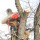 Gonzalez Tree Service