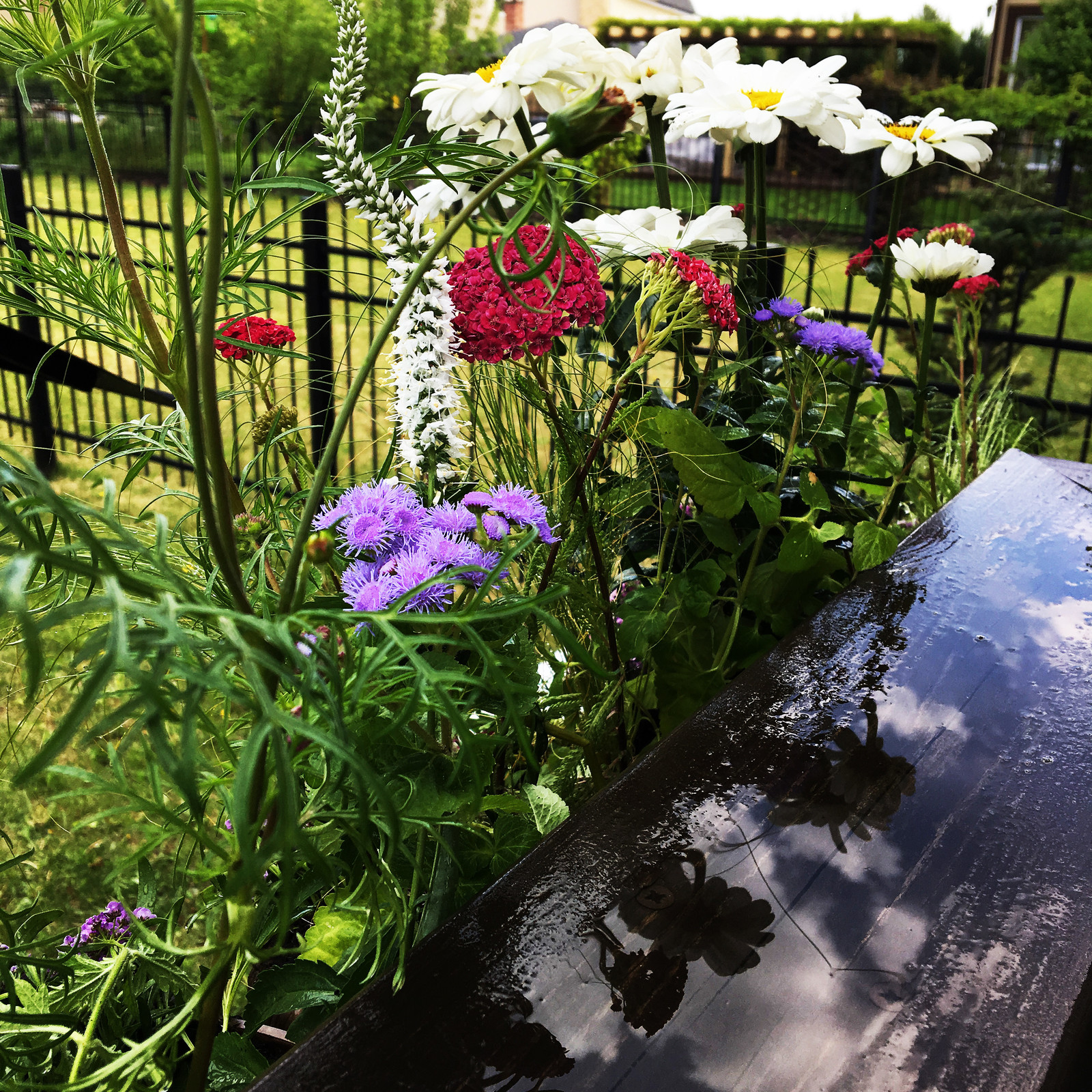 Терраса в Новых Вешках