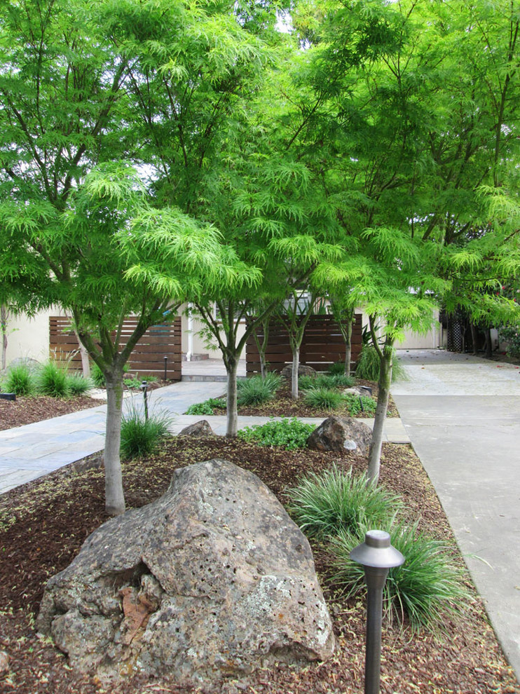 This is an example of a mid-sized asian partial sun front yard landscaping in San Francisco for fall.