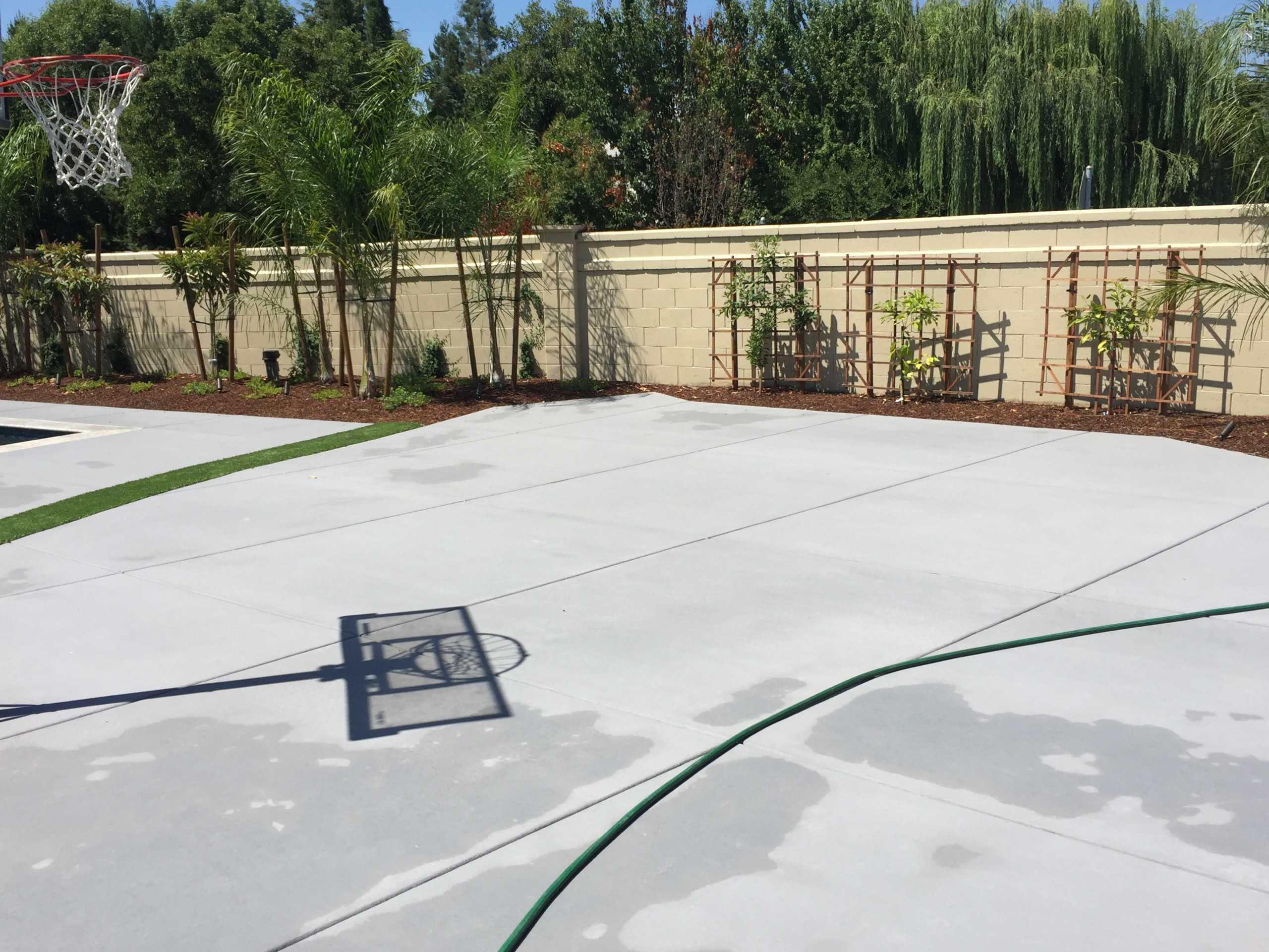 Elk Grove Remodel with Pool