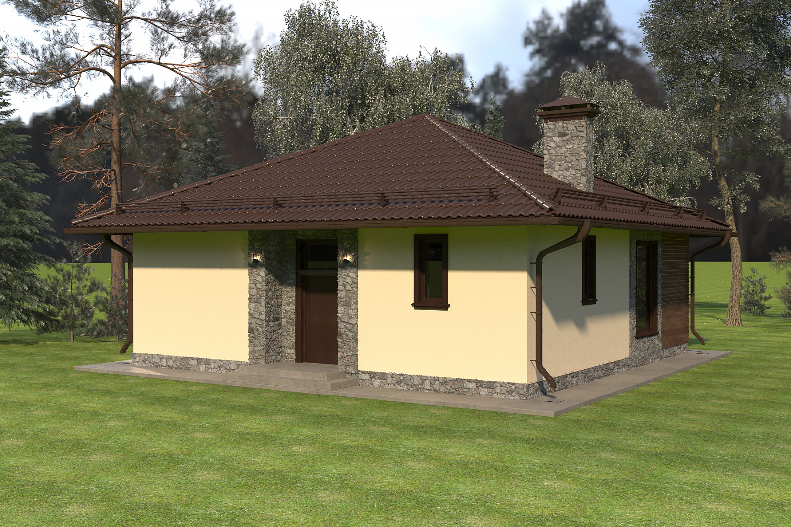 Частный дом 100 х 100