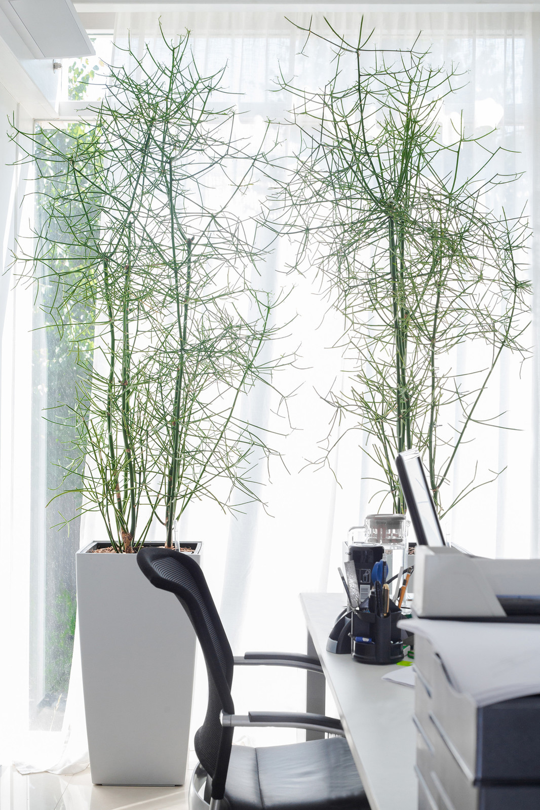 Частный интерьер, загородный дом