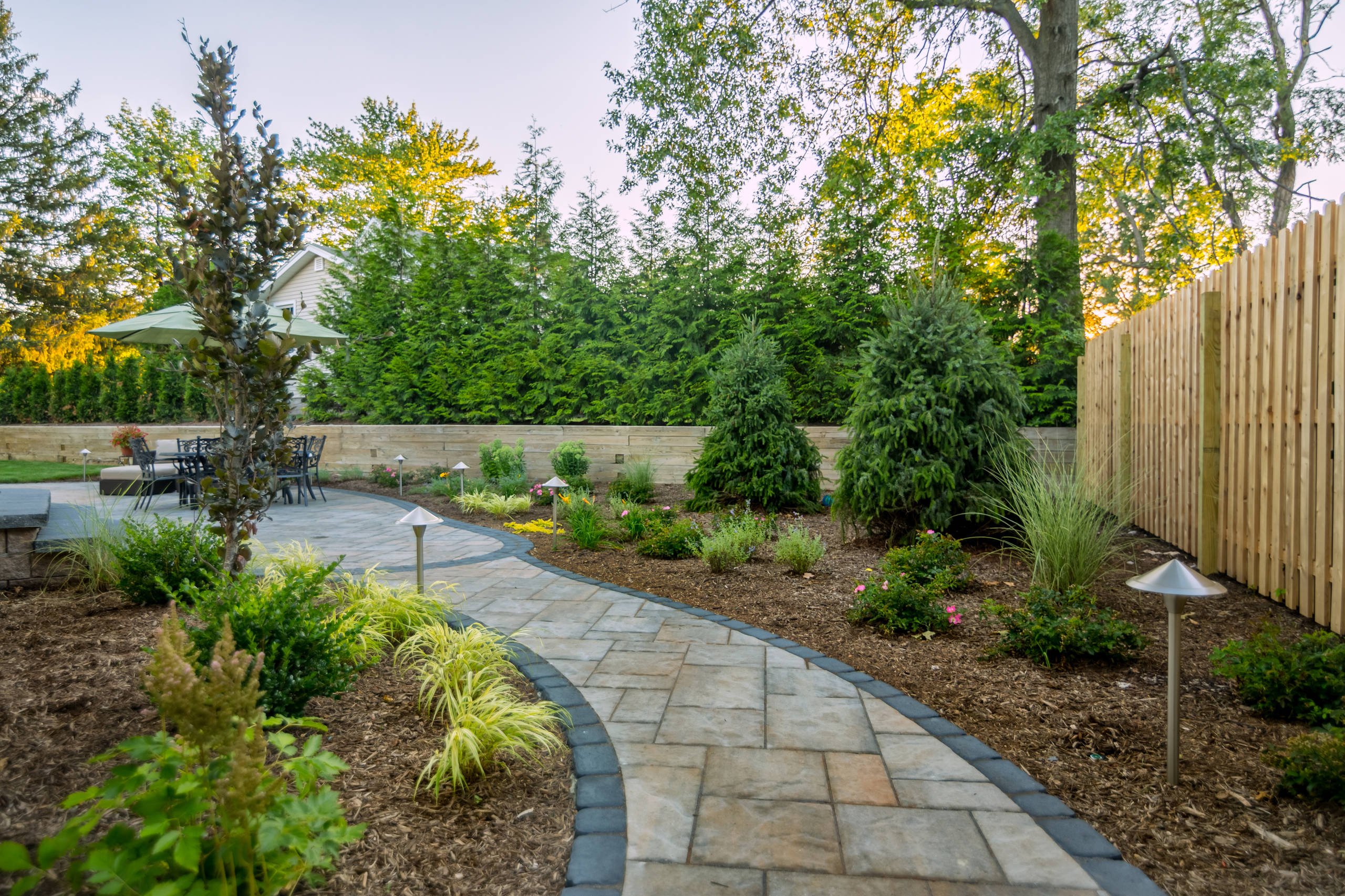 Backy patio and lighting
