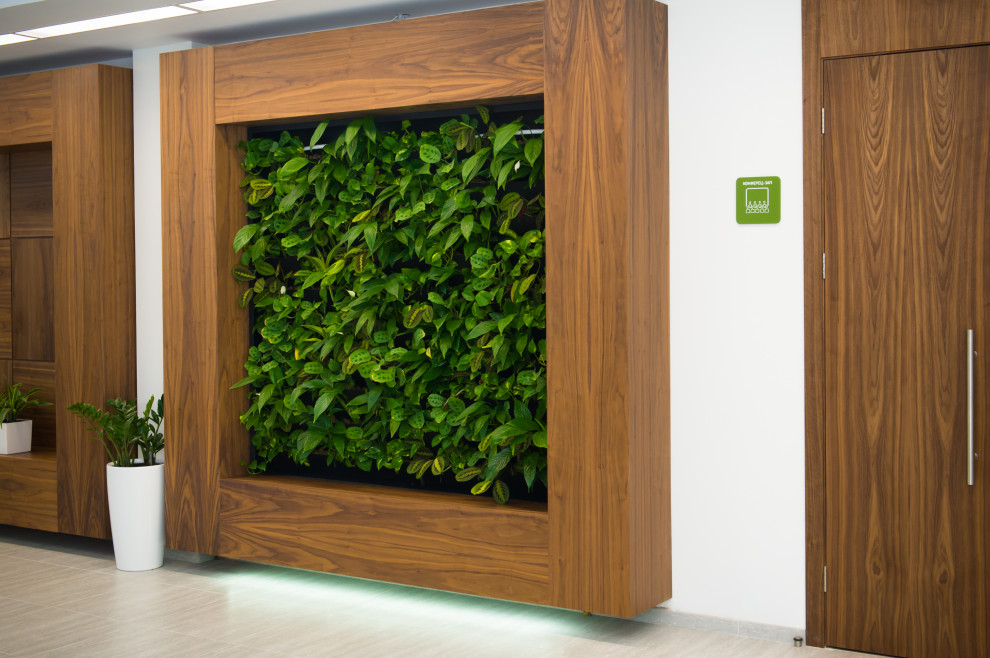 Холл и аудитория