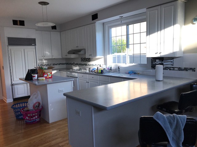 Glenview Kitchen Remodel