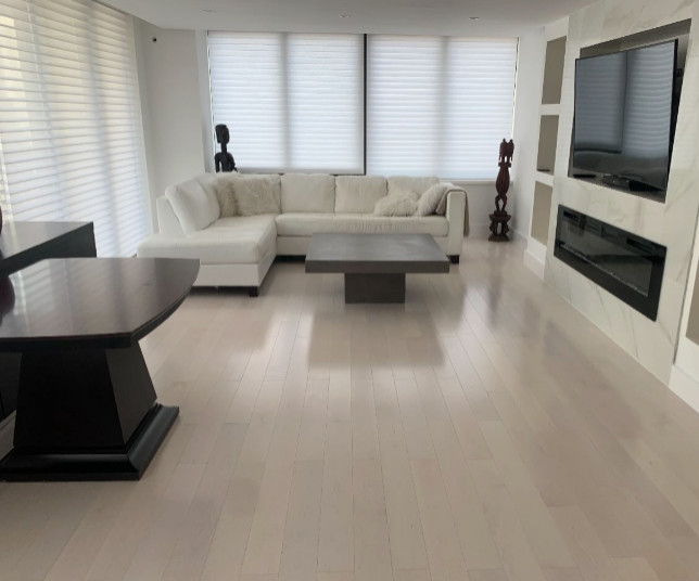 Living Room/Kitchen Renovation