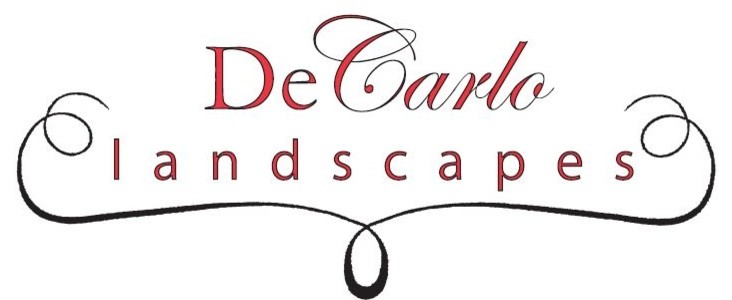 Design ideas for a modern landscaping in Newark.