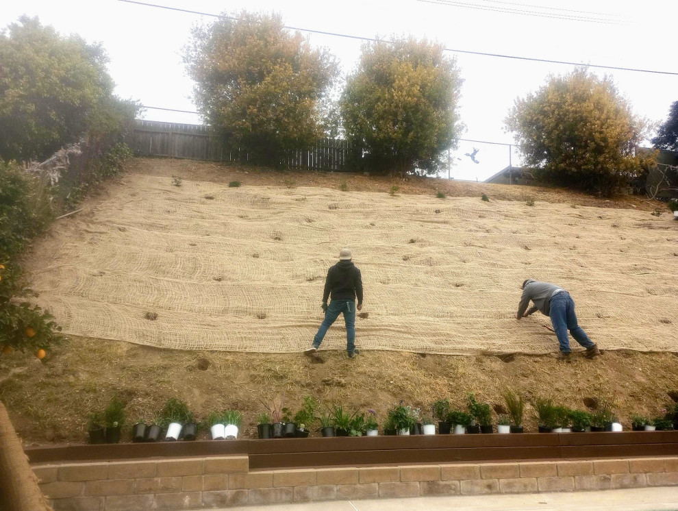 Backyard Renovation