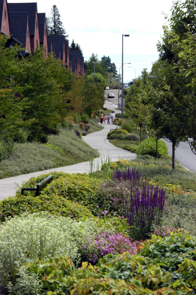 Perennial accents and seating along the public walkway