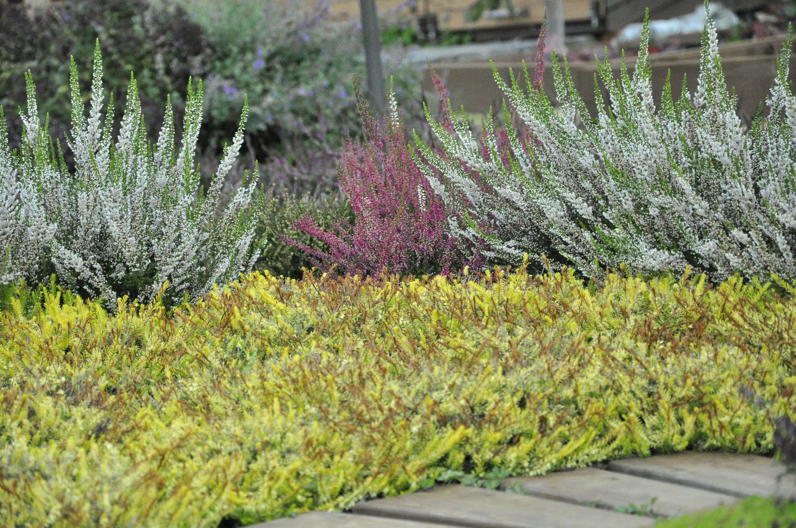 д. Коровино - Уход за садом - 100% качество