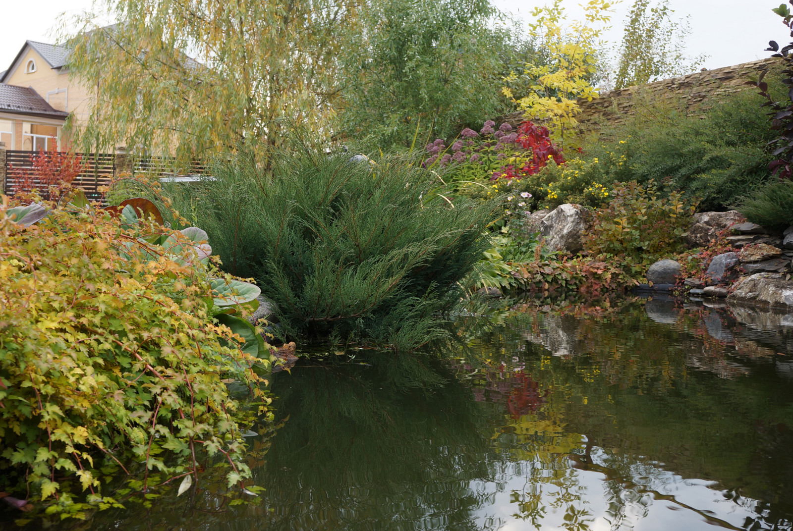 Ясная  поляна