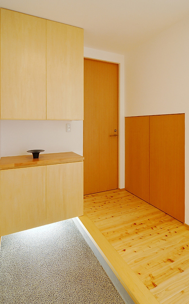 This is an example of a mid-sized modern entry hall in Other with white walls, light hardwood floors, a single front door, a medium wood front door and beige floor.