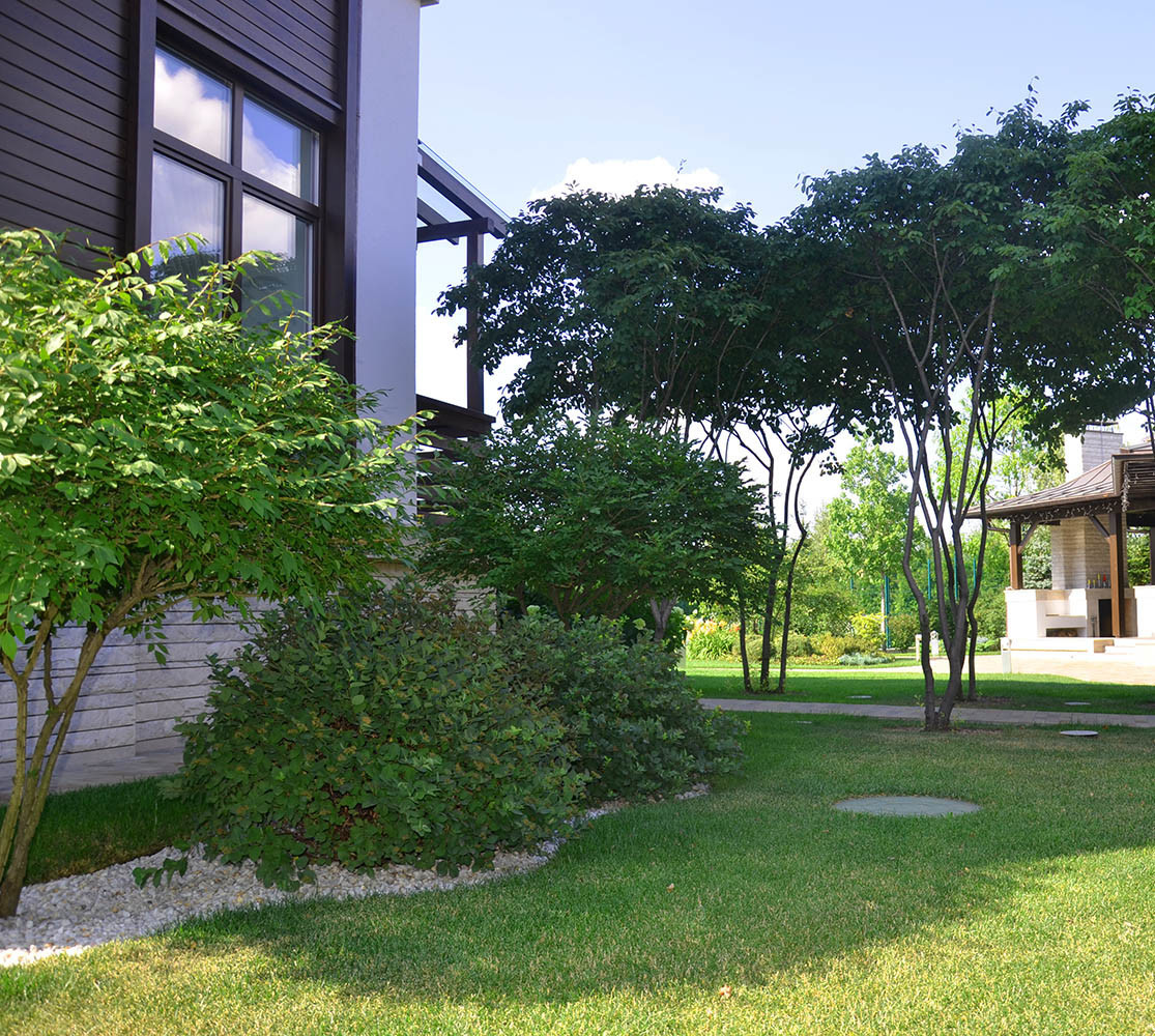 Современный сад в КП "Бенелюкс" вилла 1