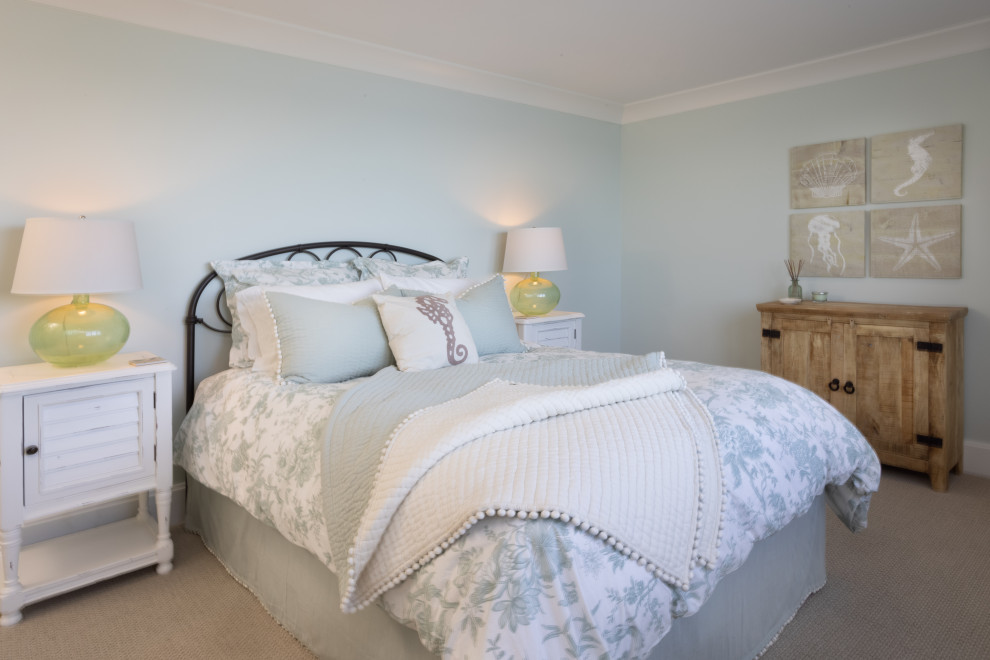 Inspiration for a traditional guest bedroom in Other with blue walls, carpet and beige floor.