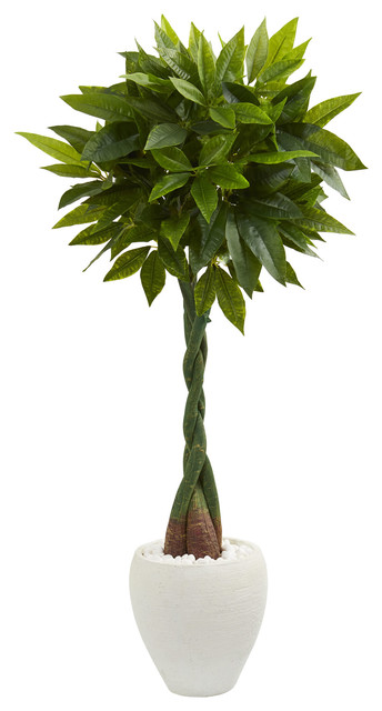 5' Money Artificial Tree, White Oval Planter, Real Touch