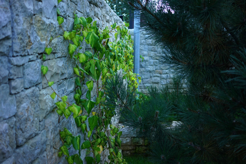 Лазурный Берег Сочи