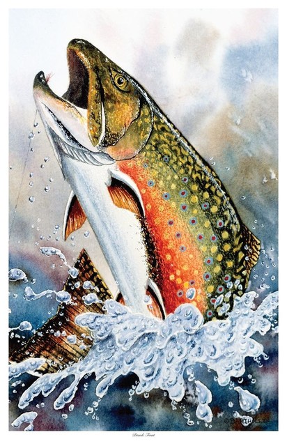 by Artist Dave Bartholet Brook Trout Art Print - Rustic - Prints And ...