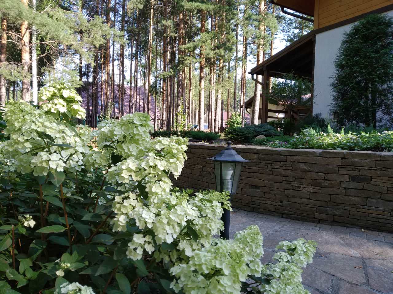 У леса на опушке