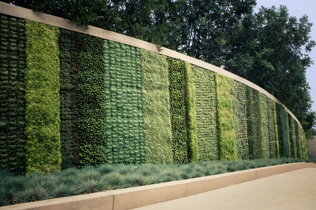 Seasons Living Wall Beverly Hills - Contemporary ...