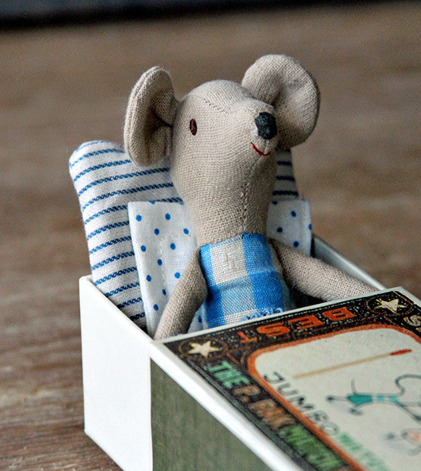 Mouse Big Brother in a Matchbox