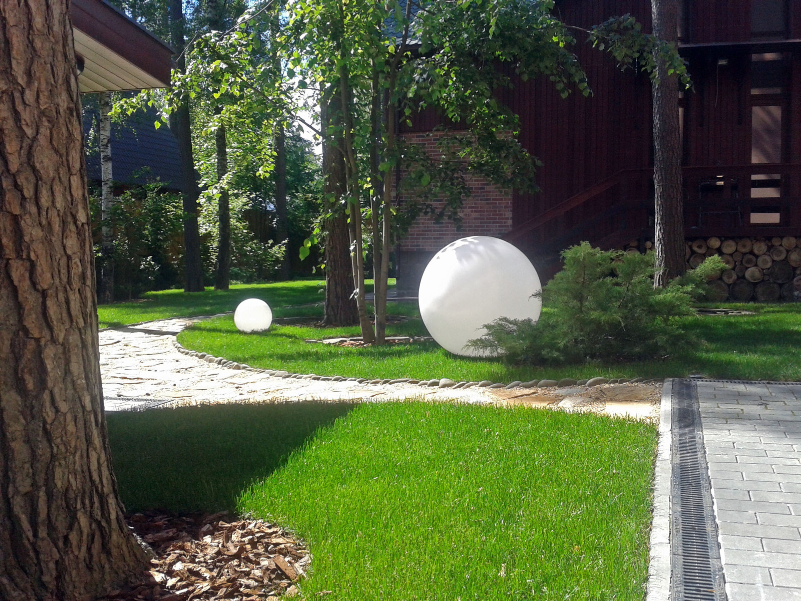 Дерево и Камень