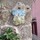linda_canzanella