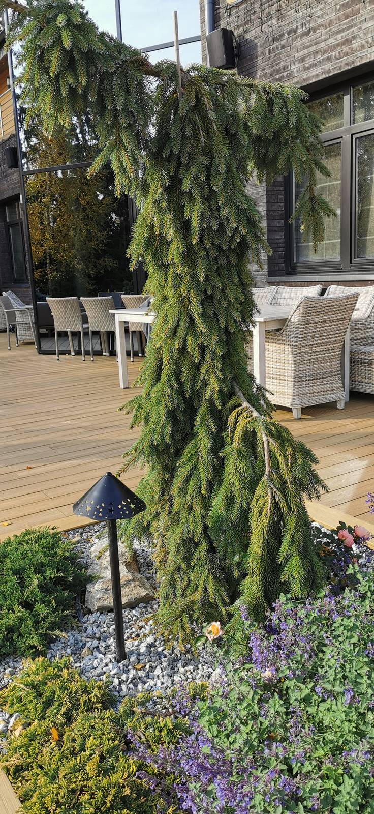 Благоустройство участка 20 соток в КП Пестово