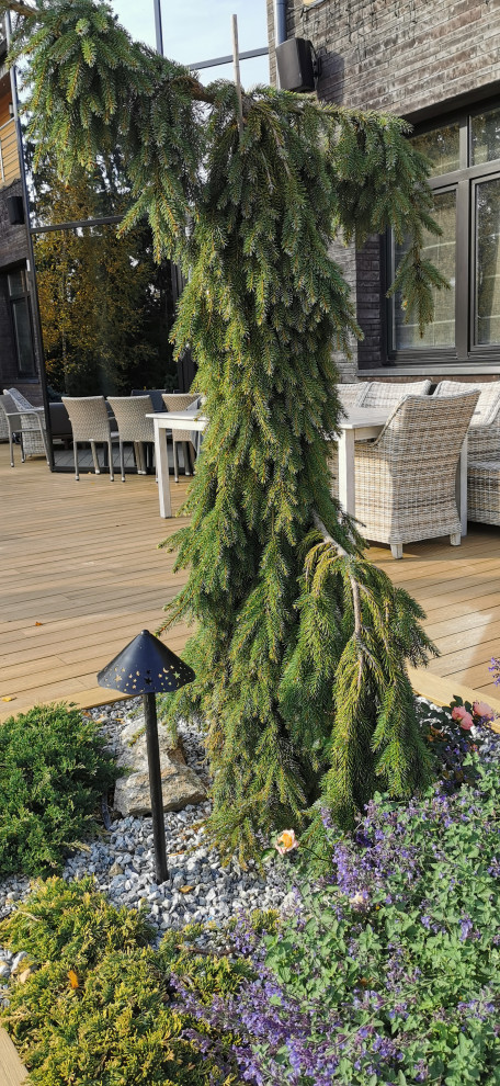 Благоустройство участка 20 соток в КП Пестово