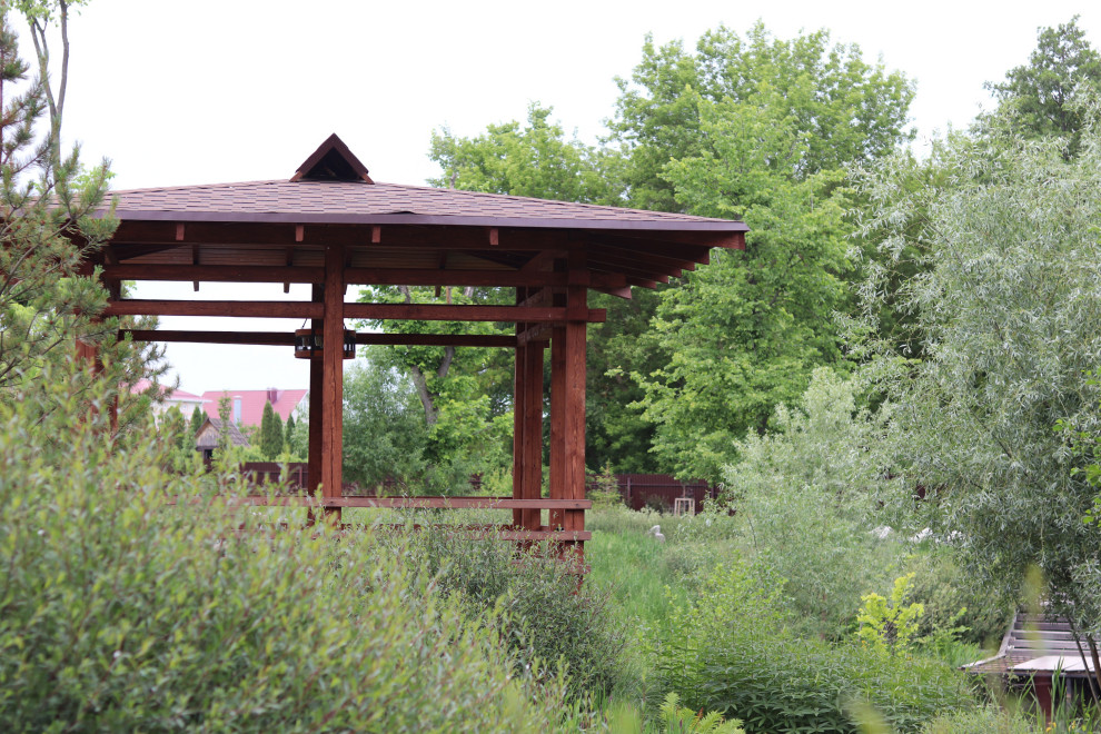 WB Берег пруда (май,июнь)