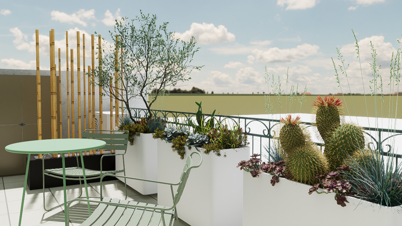 Urban succulents: suggestioni desertiche