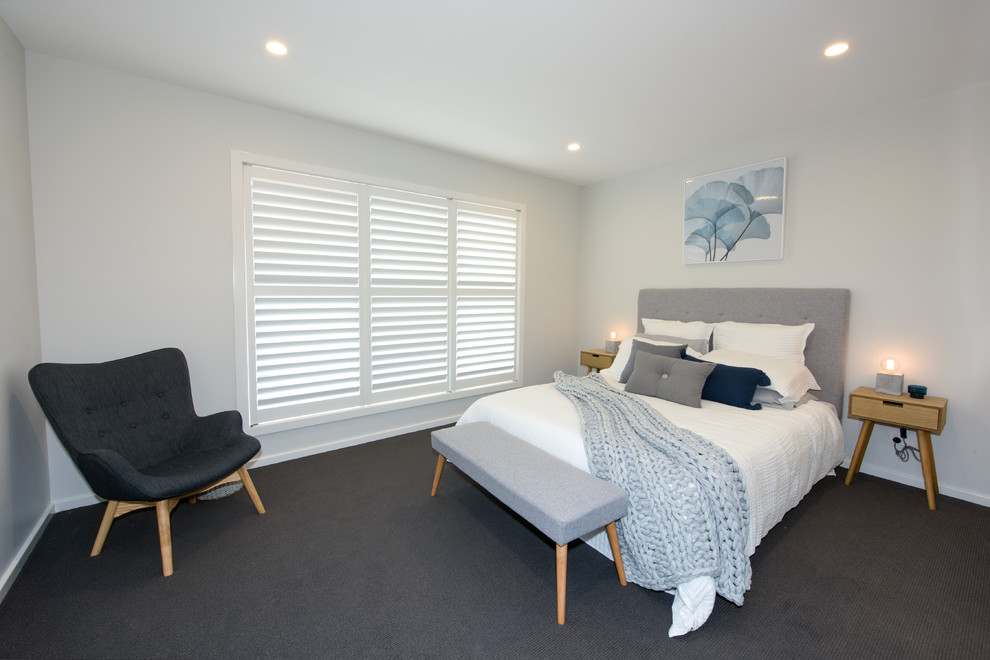 Design ideas for a small contemporary master bedroom in Central Coast with grey walls, carpet, no fireplace and grey floor.