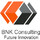 BNK Consulting