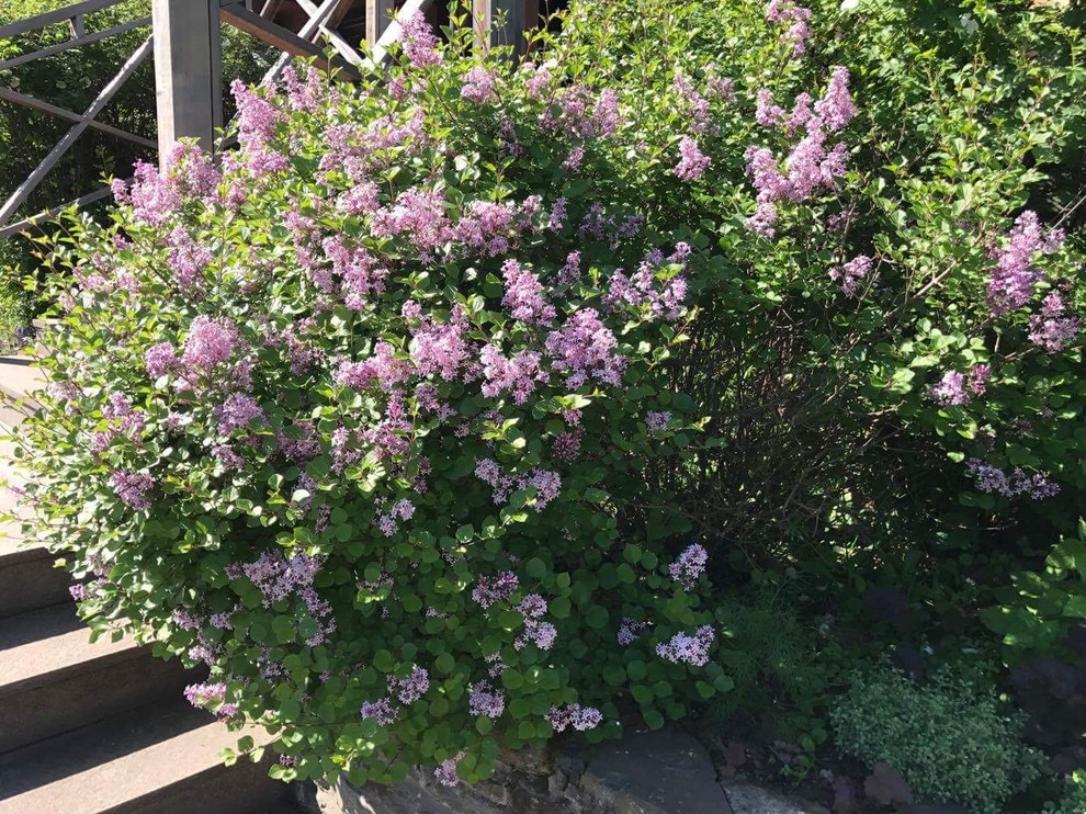 Частный парк Московская область