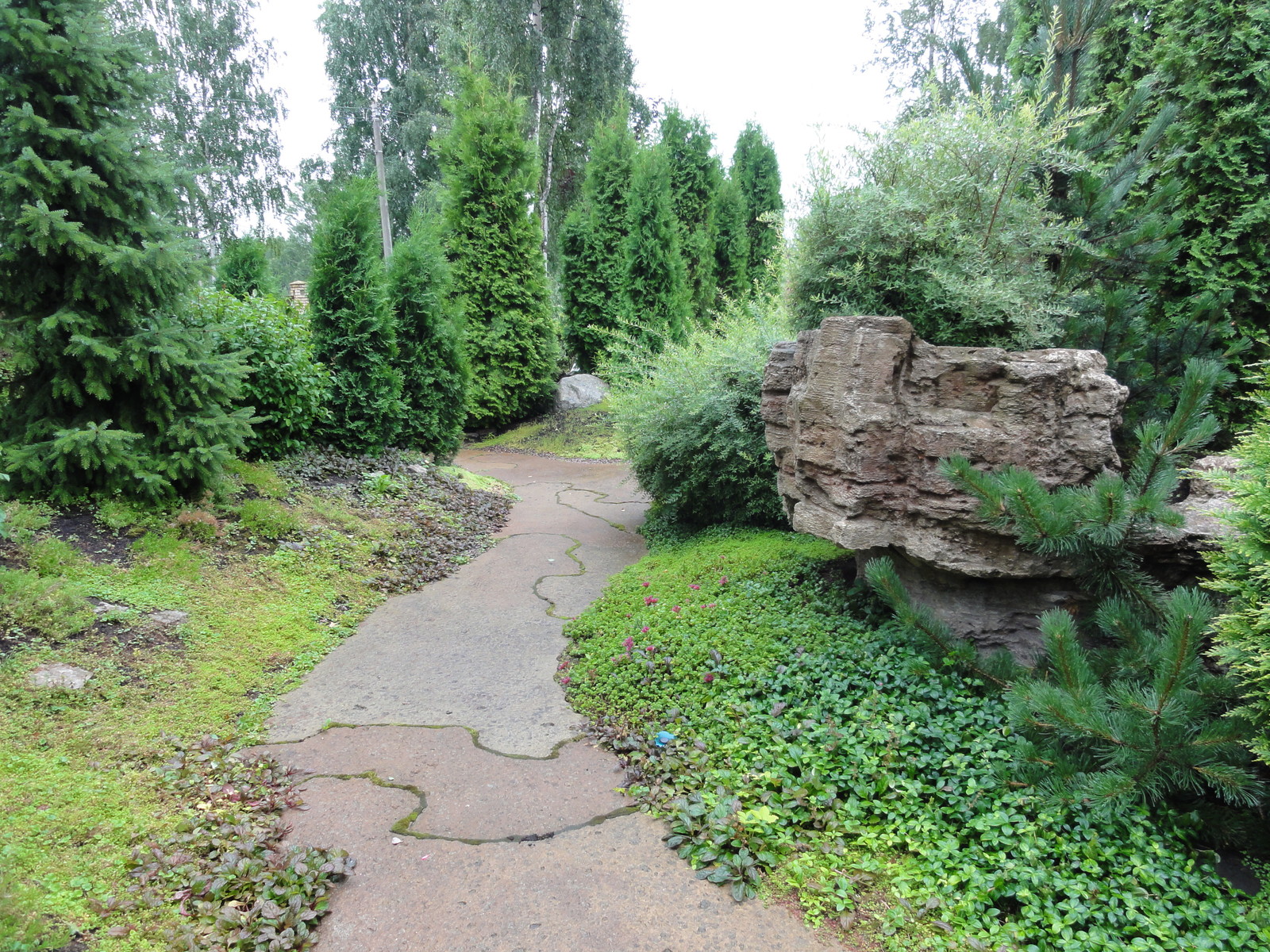 вокруг пруда