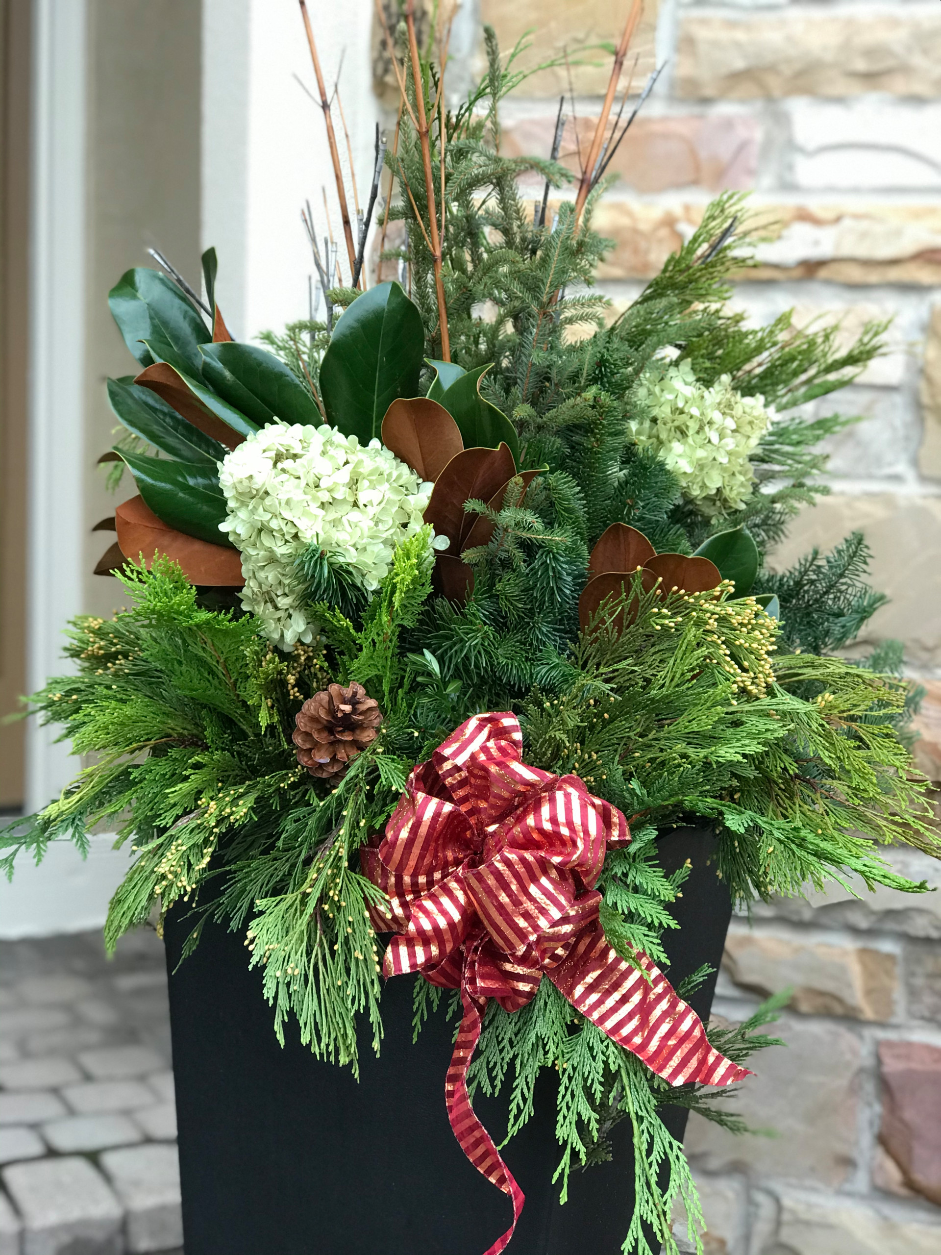 Winter containers and Holiday Decorations