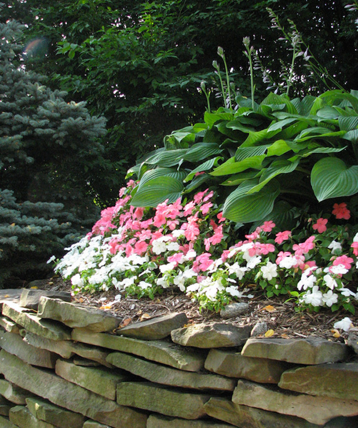Design ideas for an arts and crafts front yard shaded garden in Boston with mulch.