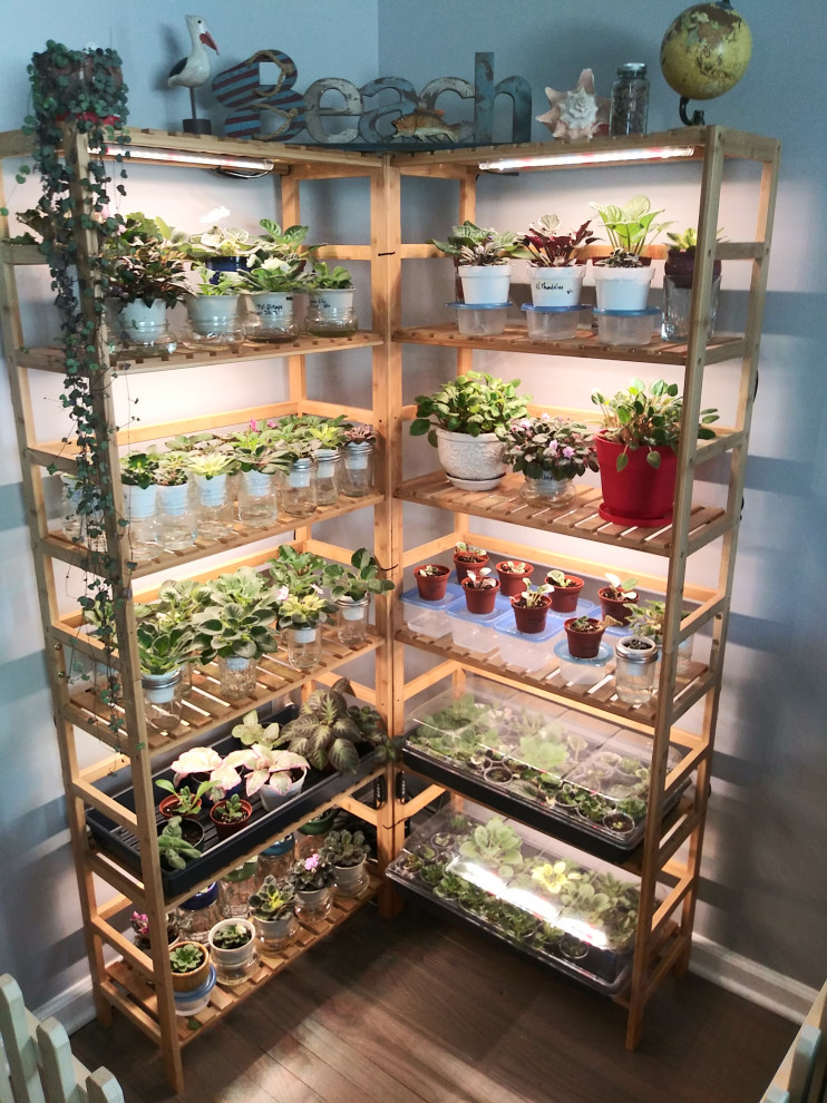 Just wanted to share my new african violet shelves!