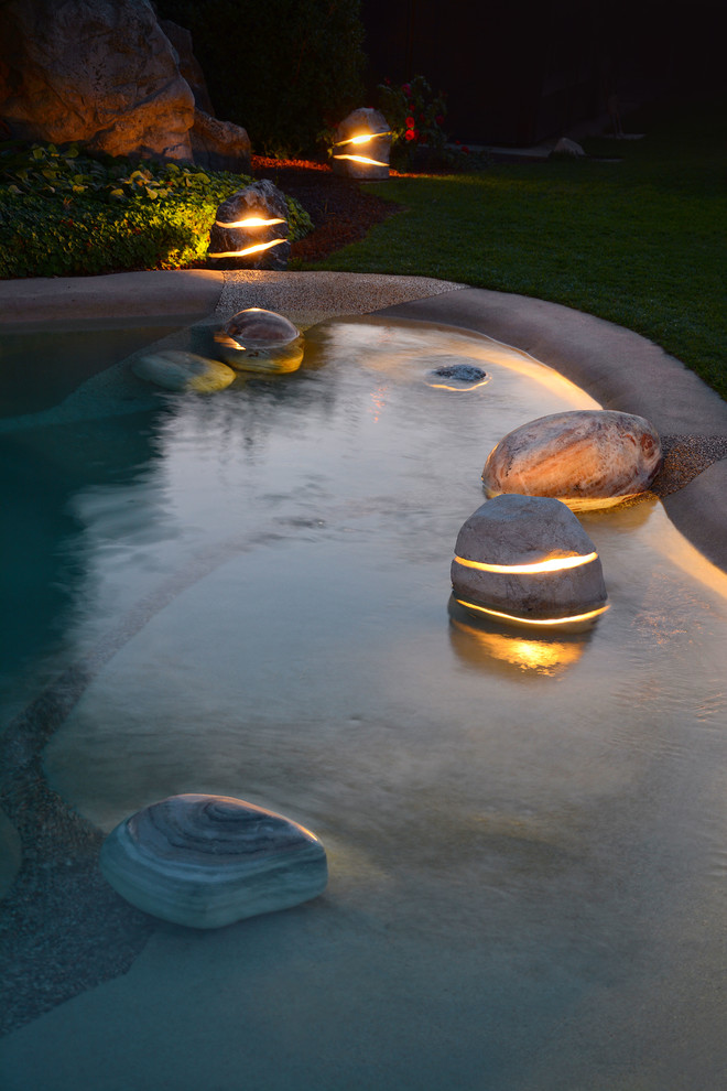 Design ideas for a tropical front yard custom-shaped natural pool in Other.