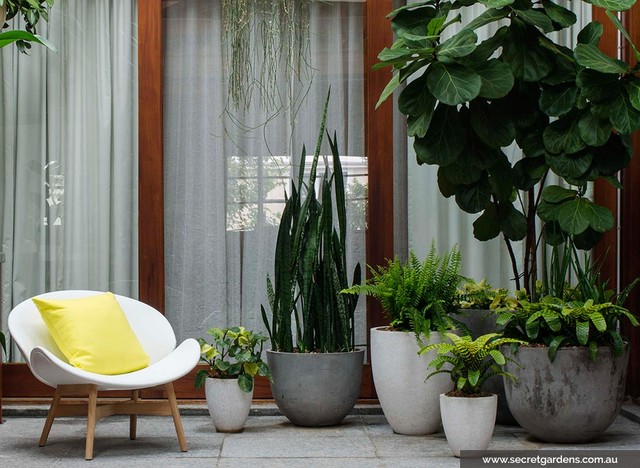 Warehouse courtyard: Clovelly industrial-garden