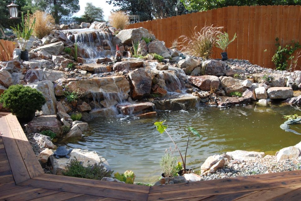 This is an example of a mid-sized tropical backyard full sun formal garden for spring in Los Angeles with a water feature.