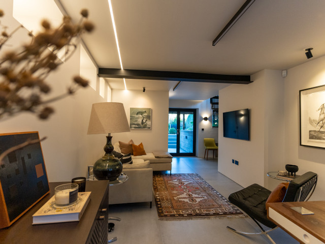 Harborne Basement Conversion retro-vardagsrum