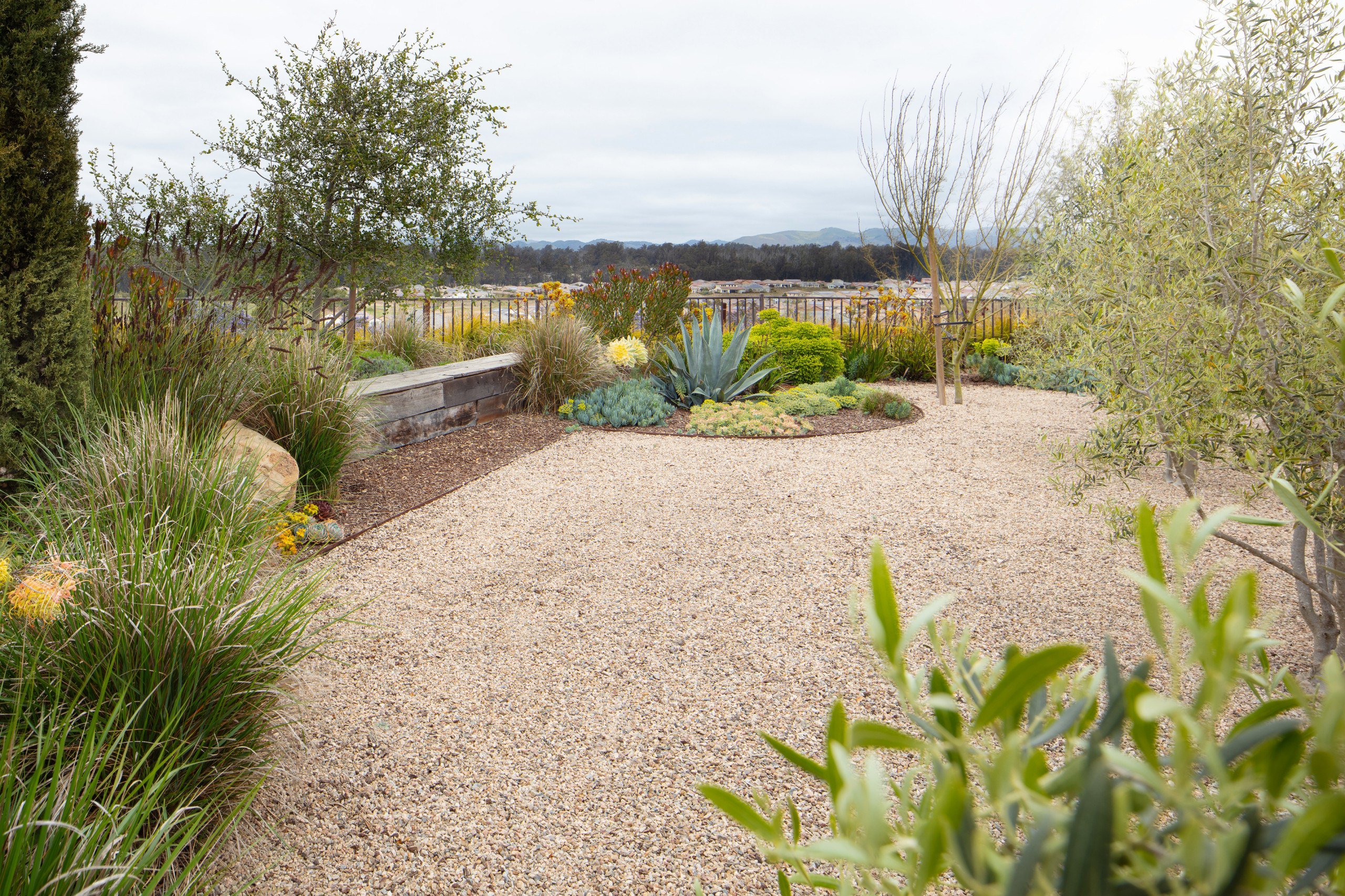 Trilogy Landscape and Outdoor Kitchen