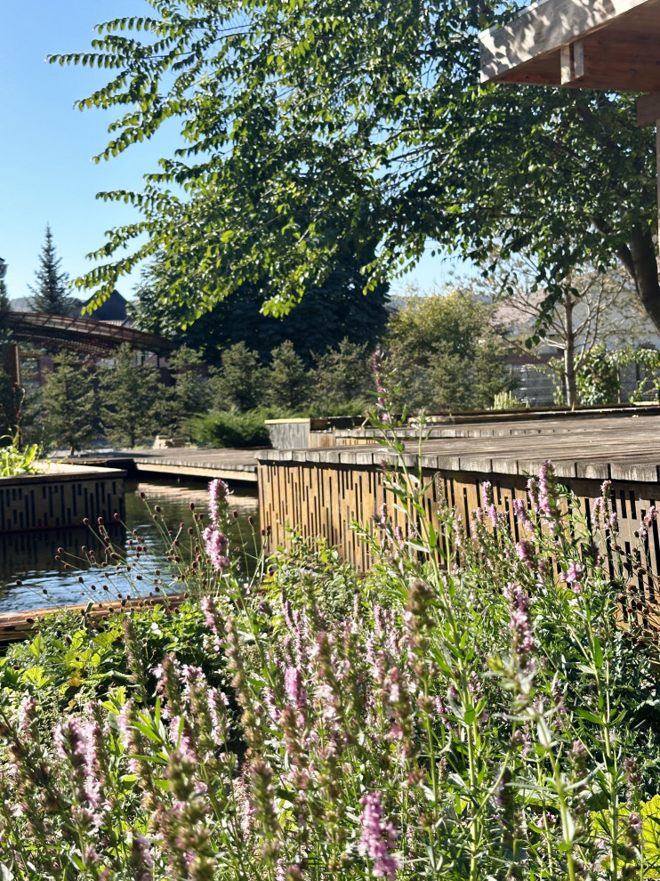 Выставочный сад