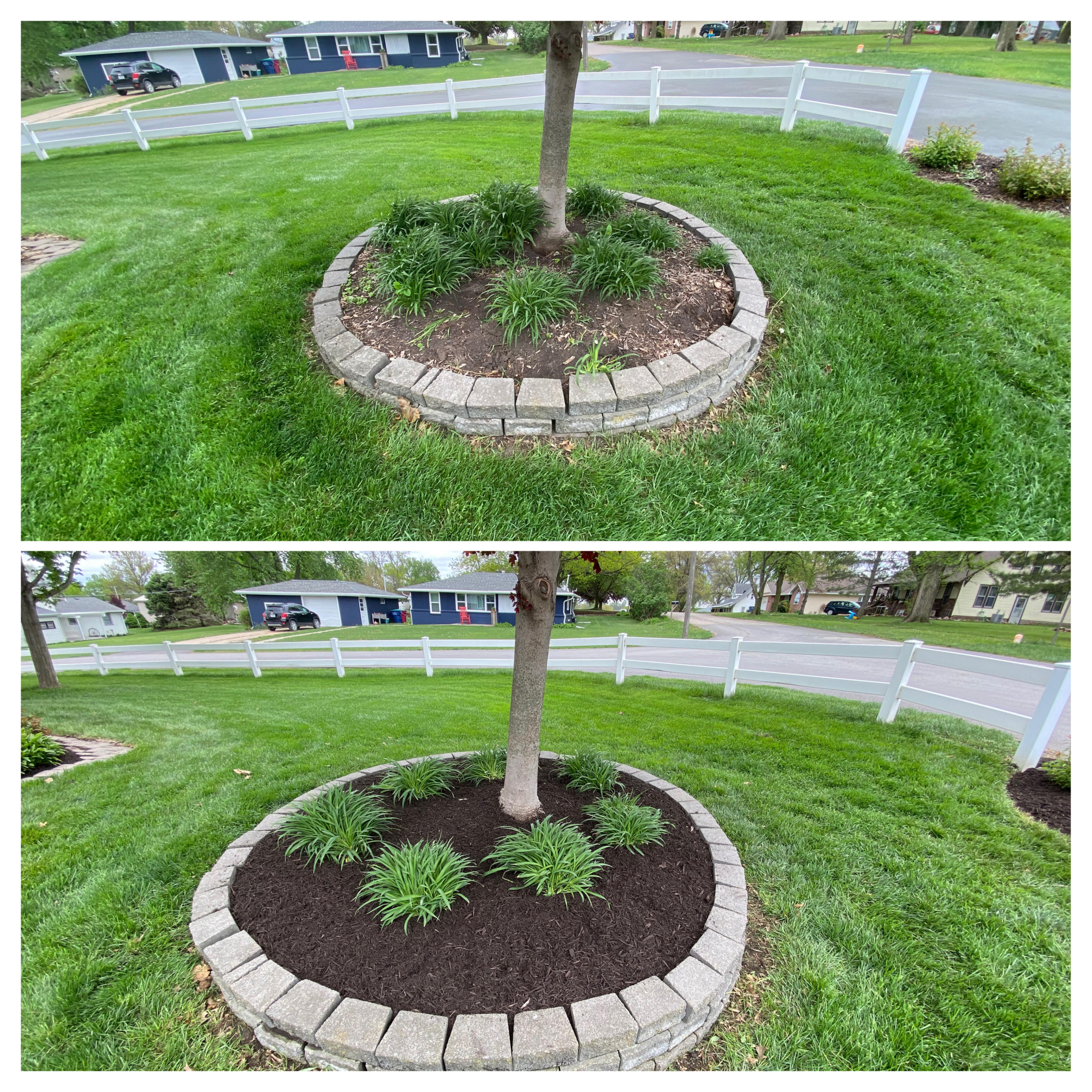 Mulch & Maintenance