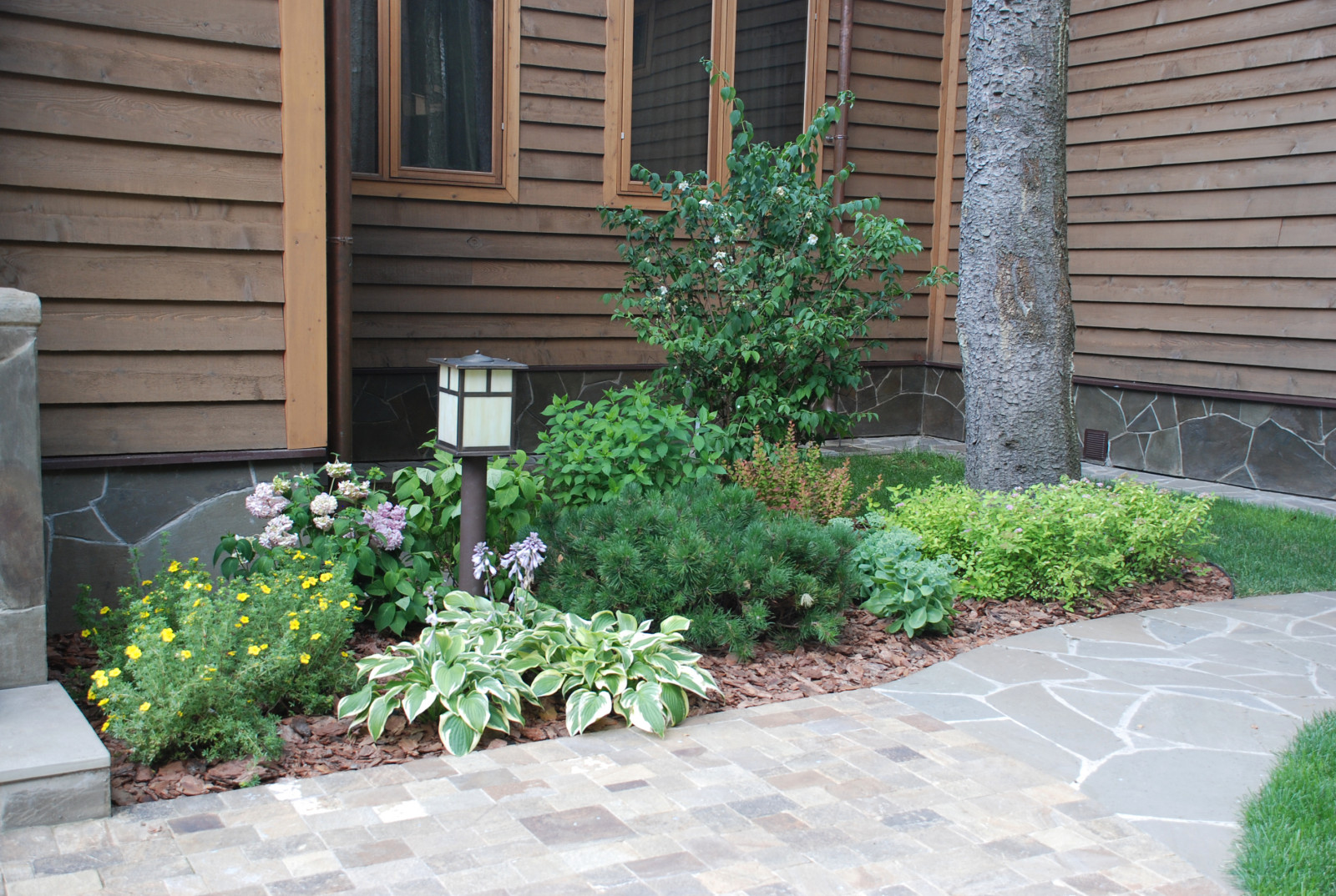 Успенское шоссе РИИТА