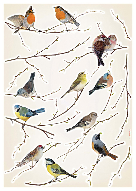 Birds Wall Decals