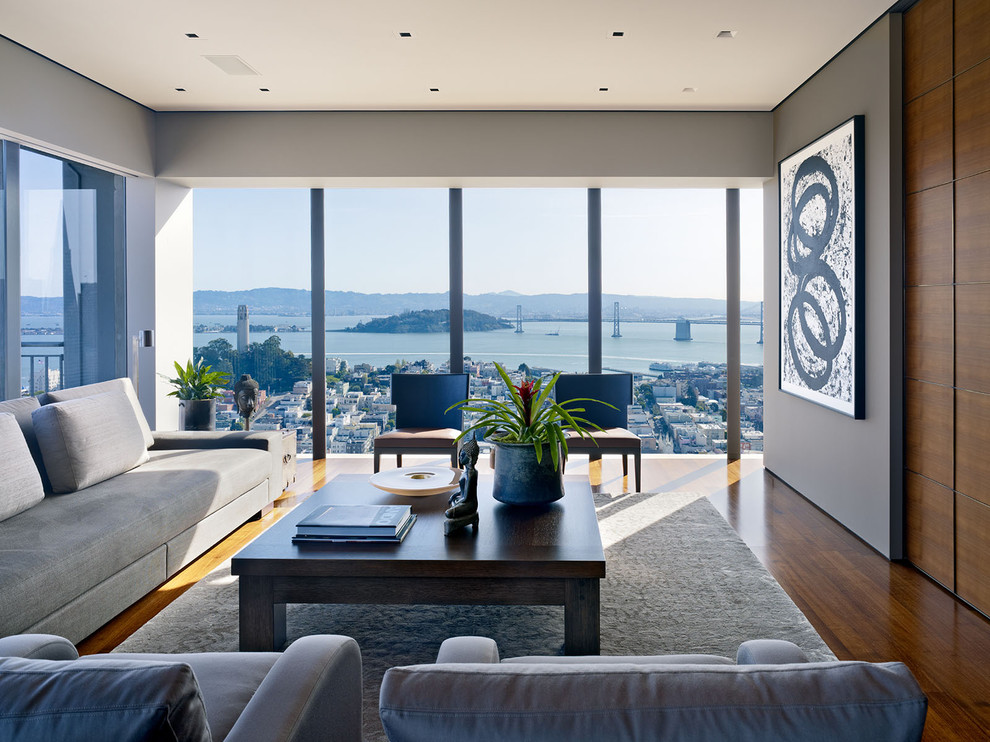 Design ideas for a contemporary living room in San Francisco with grey walls.
