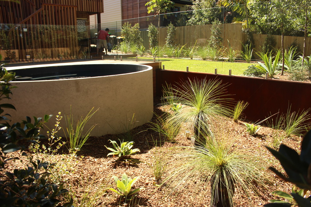 This is an example of an australian native contemporary garden in Sydney.
