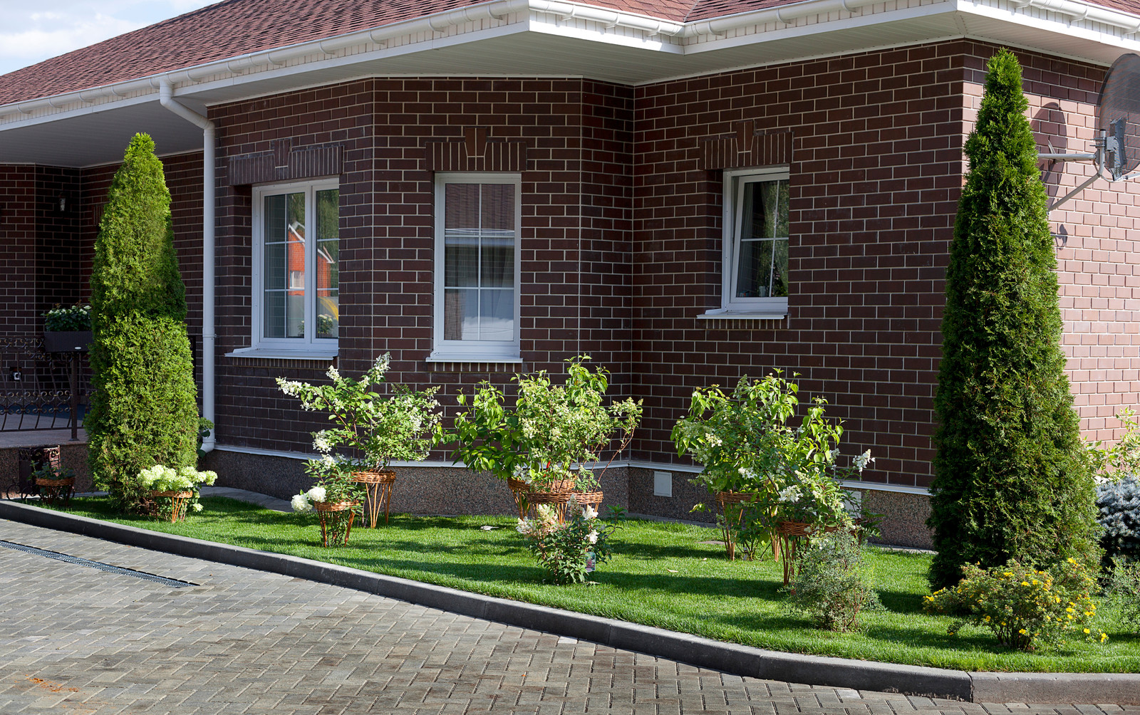 Вавиловец 1