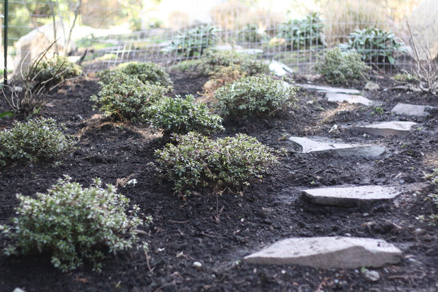 Brookside Garden modern-garten
